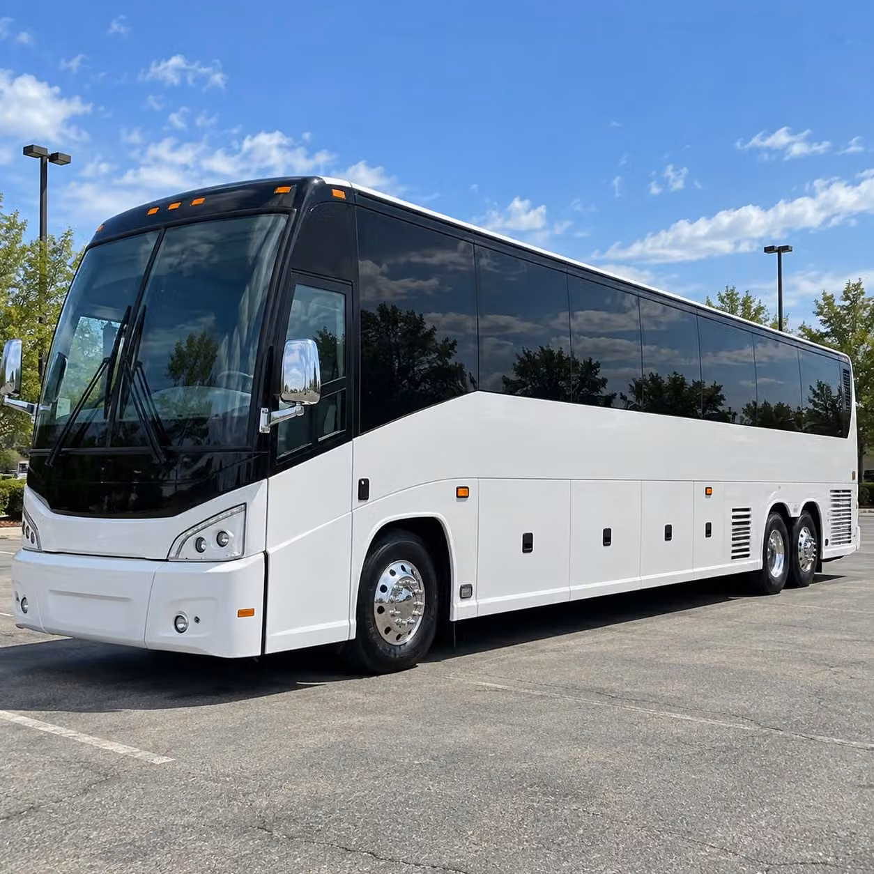 charter buses for lynn concerts sporting events and private group outings